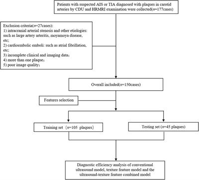 Texture Analysis Based on Vascular Ultrasound to Identify the Vulnerable Carotid Plaques